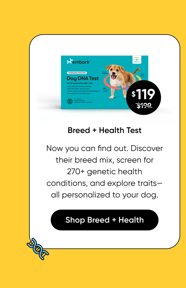 Discover their breed mix, screen for 270+ genetic health, conditions, and explore traits—all personalized to your dog. Shop Breed + Health Test.