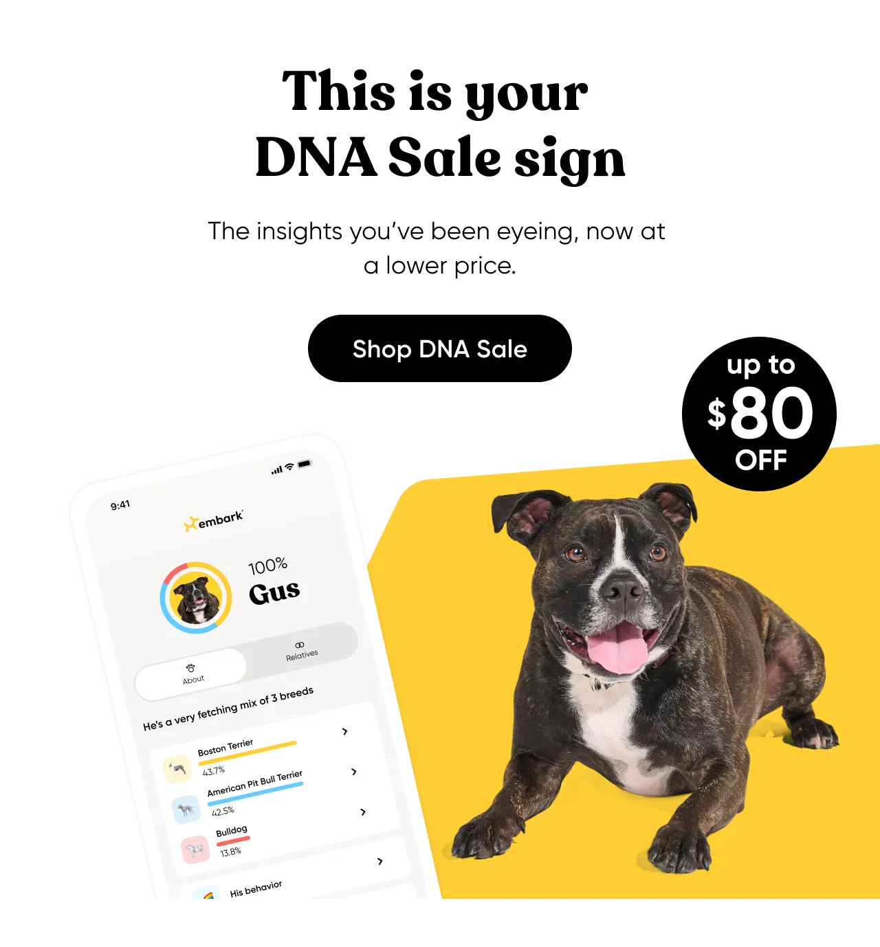 This is your DNA Sale sign. The insights you've been eyeing, now at a lower price. Shop DNA Sale.