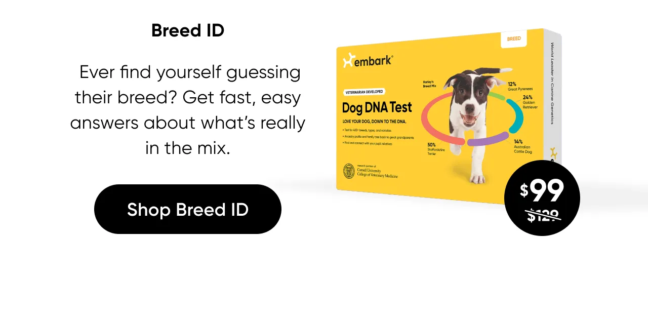 Ever find yourself guessing their breed? Get fast, easy answers about what's really in their mix. Shop Breed iD Test.