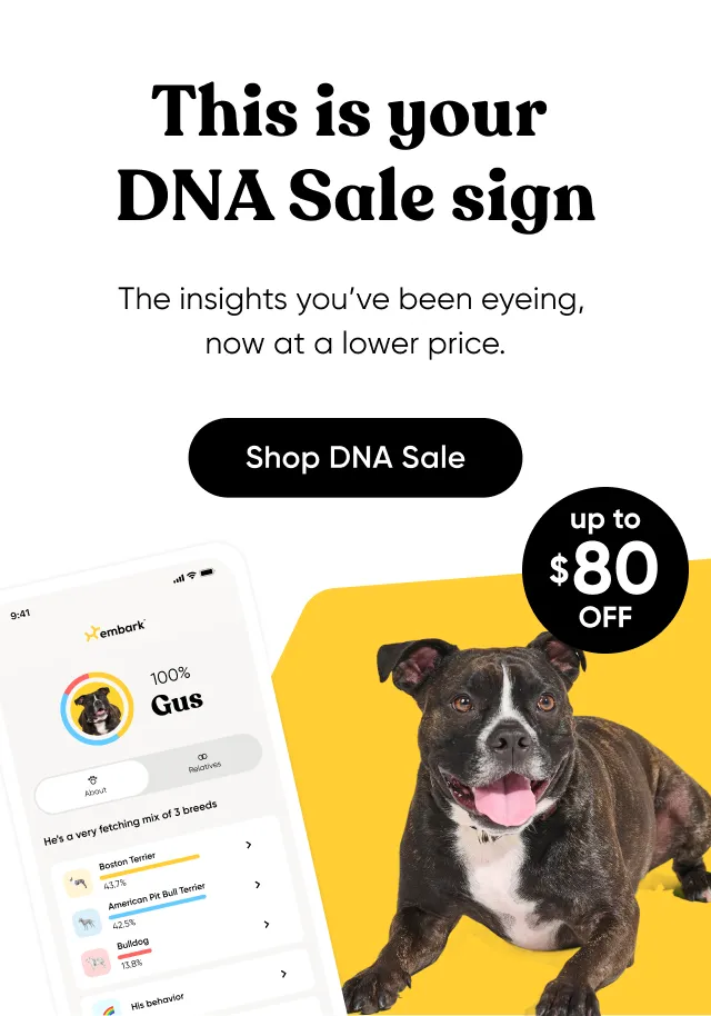 This is your DNA Sale sign. The insights you've been eyeing, now at a lower price. Shop DNA Sale.