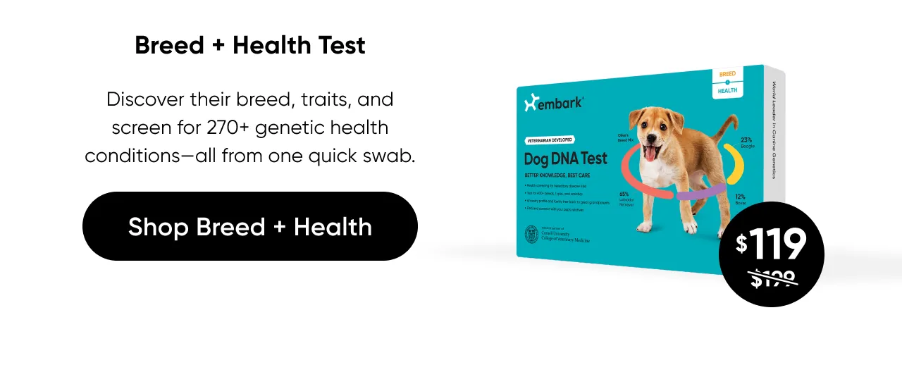 Discover their breed, traits, and screen for 270+ genetic health conditions—all from one quick swab. Shop Breed + Health Test.