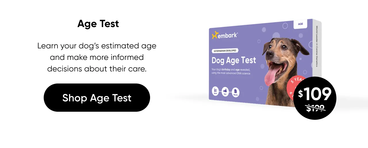 Learn your dog's estimated age and make more informed decisions about their care. Shop Age Test.