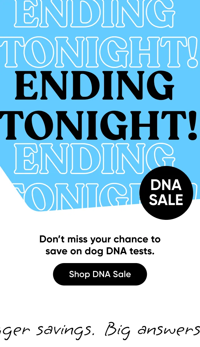 DNA Sale: Ending tonight! Don't miss your chance to save on dog DNA tests, up to $80 off.