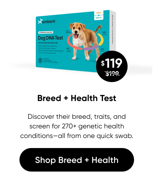 Discover their breed, traits, and screen for 270+ genetic health conditions—all from one quick swab. Shop Breed + Health Test.