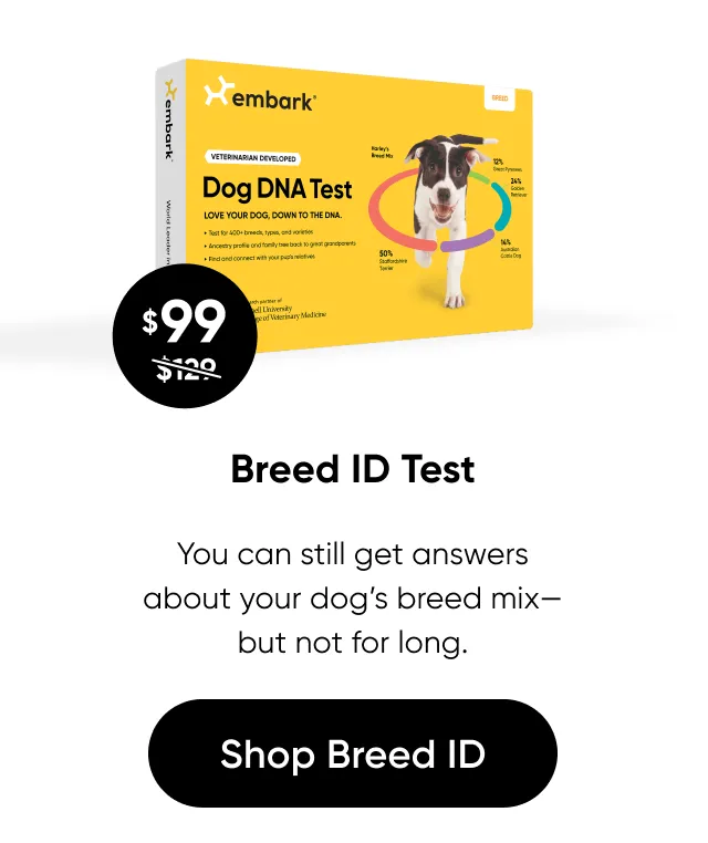 You can still get answers about your dog's breed mix—but not for long. Shop Breed ID Test.