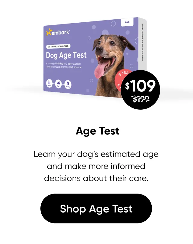 Learn your dog's estimated age and make more informed decisions about their care. Shop Age Test.