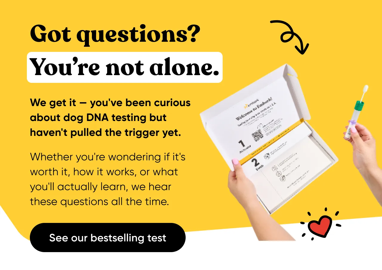 Got questions? You're not alone. We get it. You've been curious about dog DNA testing but haven't pulled trigger yet. Whether you're wondering if it's worth it, how it works, or what you'll actually learn, we hear these questions all the time.