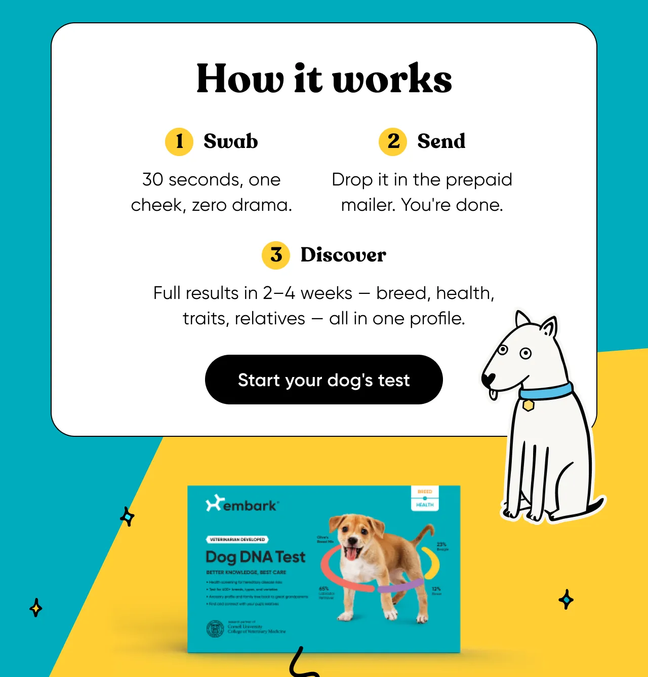How it works: swab your dog's cheek, put it in the mail and wait 2 to 4 weeks for full results. Start your dog's test.
