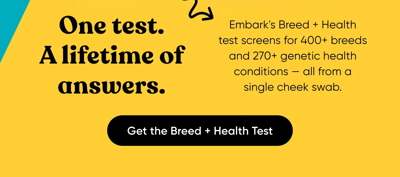 One test. A lifetime of answers. Get the Breed + Health Test.