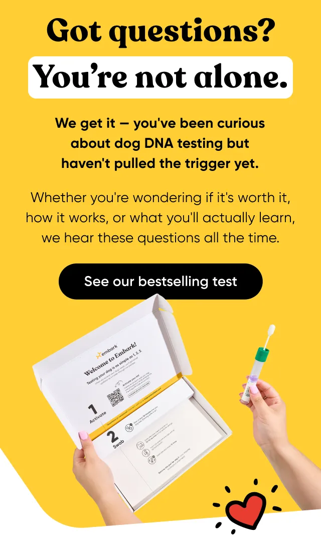 Got questions? You're not alone. We get it. You've been curious about dog DNA testing but haven't pulled trigger yet. Whether you're wondering if it's worth it, how it works, or what you'll actually learn, we hear these questions all the time.