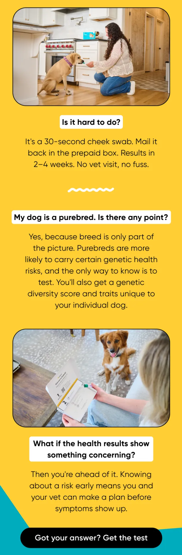 Is it hard to do? It's a 30-second cheek swab. Mail it back in the prepaid box. Results come in 2 to 4 weeks. No vet visit, no fuss. My dog is a purebred. Is there any point? Yes, because breed is only part of the picture. Purebreds are more likely to carry genetic health risks, and the only way to know is to test. You'll also get a genetic diversity score and traits unique to your dog. What if the health results show something concerning? Then you're ahead of it. Knowing about a risk early means you and your vet can make a plan before symptoms show up. Got your answer? Get the test.