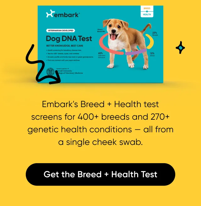 One test. A lifetime of answers. Get the Breed + Health Test.