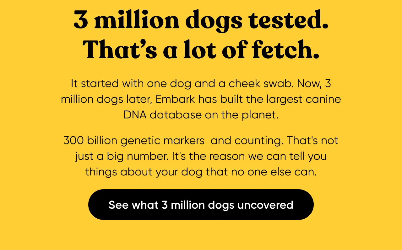 3 million dogs tested. That's a lot of fetch. It started with one dog and a cheek swab. Now 3 million dogs later, Embark has built the largest canine DNA database on the planet. 300 billion genetic markets and counting. That's not just a big number. It's the reason we can tell you things about your dog that no one else can. See what 3 million dogs uncovered.