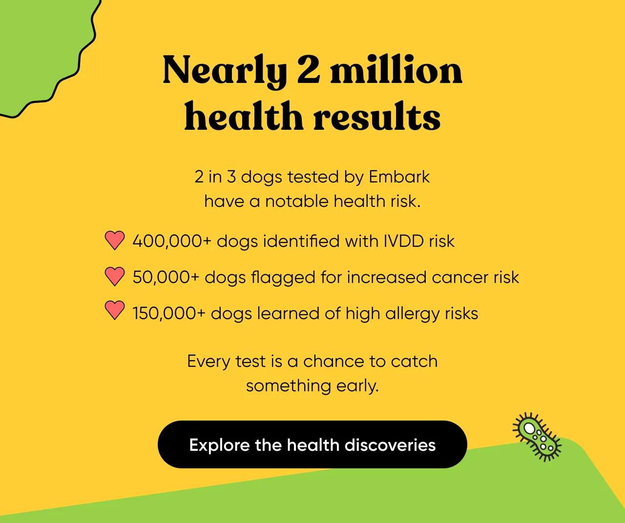 Nearly 2 million health results. 2 in 3 dogs tested by Embark have a notable health risk. 400,000+ dogs identified with IVDD risk. 50,000+ dogs flagged for increased cancer risk. 150,000+ dogs learned of high allergy risks. Every test is a chance to catch something early. Explore the health discoveries.