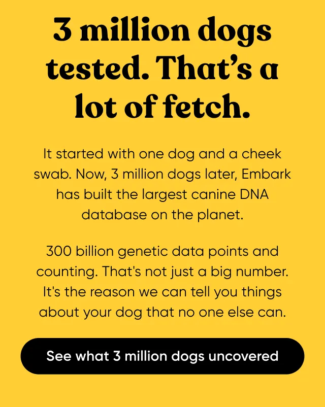 3 million dogs tested. That's a lot of fetch. It started with one dog and a cheek swab. Now 3 million dogs later, Embark has built the largest canine DNA database on the planet. 300 billion genetic markets and counting. That's not just a big number. It's the reason we can tell you things about your dog that no one else can. See what 3 million dogs uncovered.