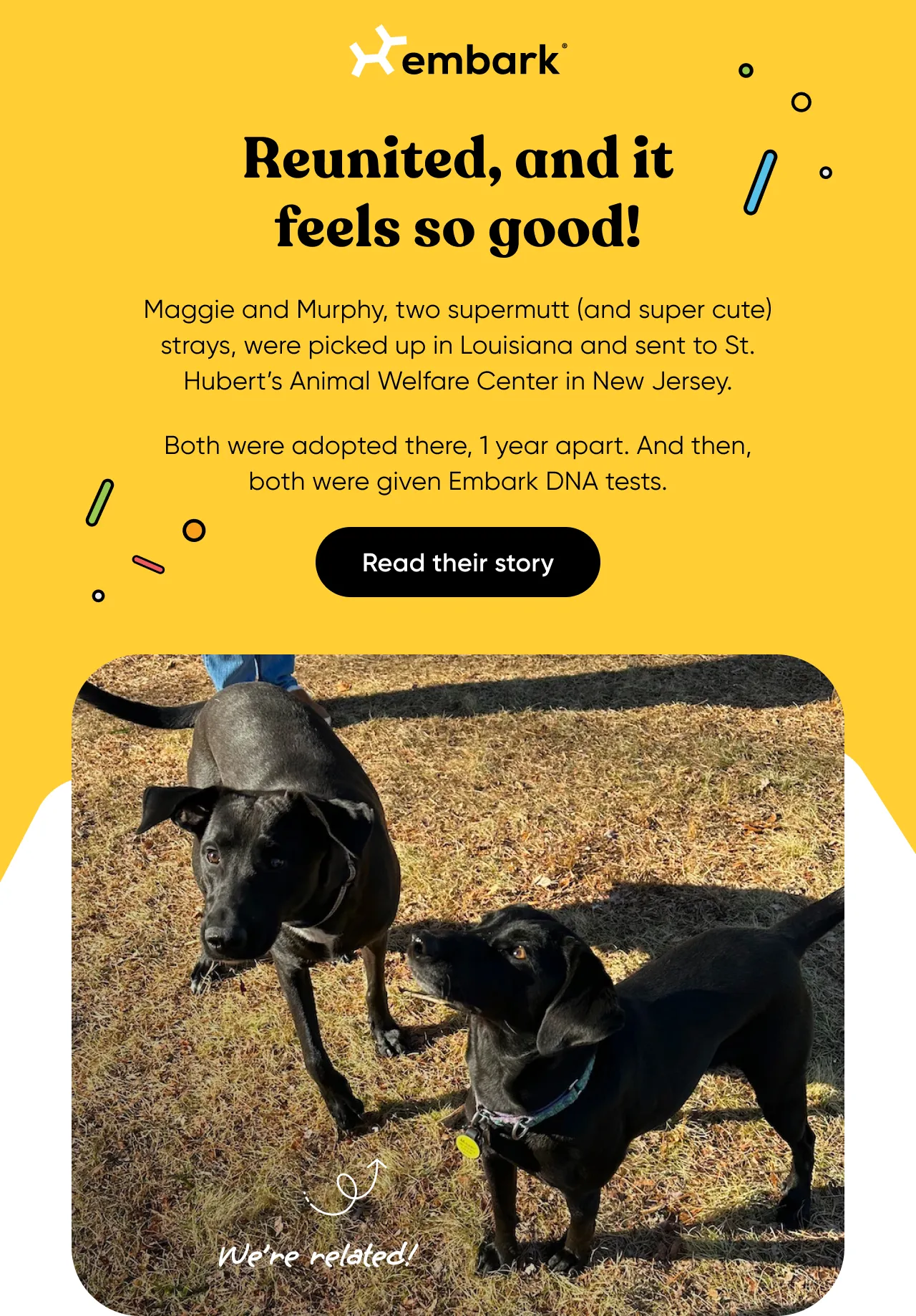 Read Maggie and Murphy's story