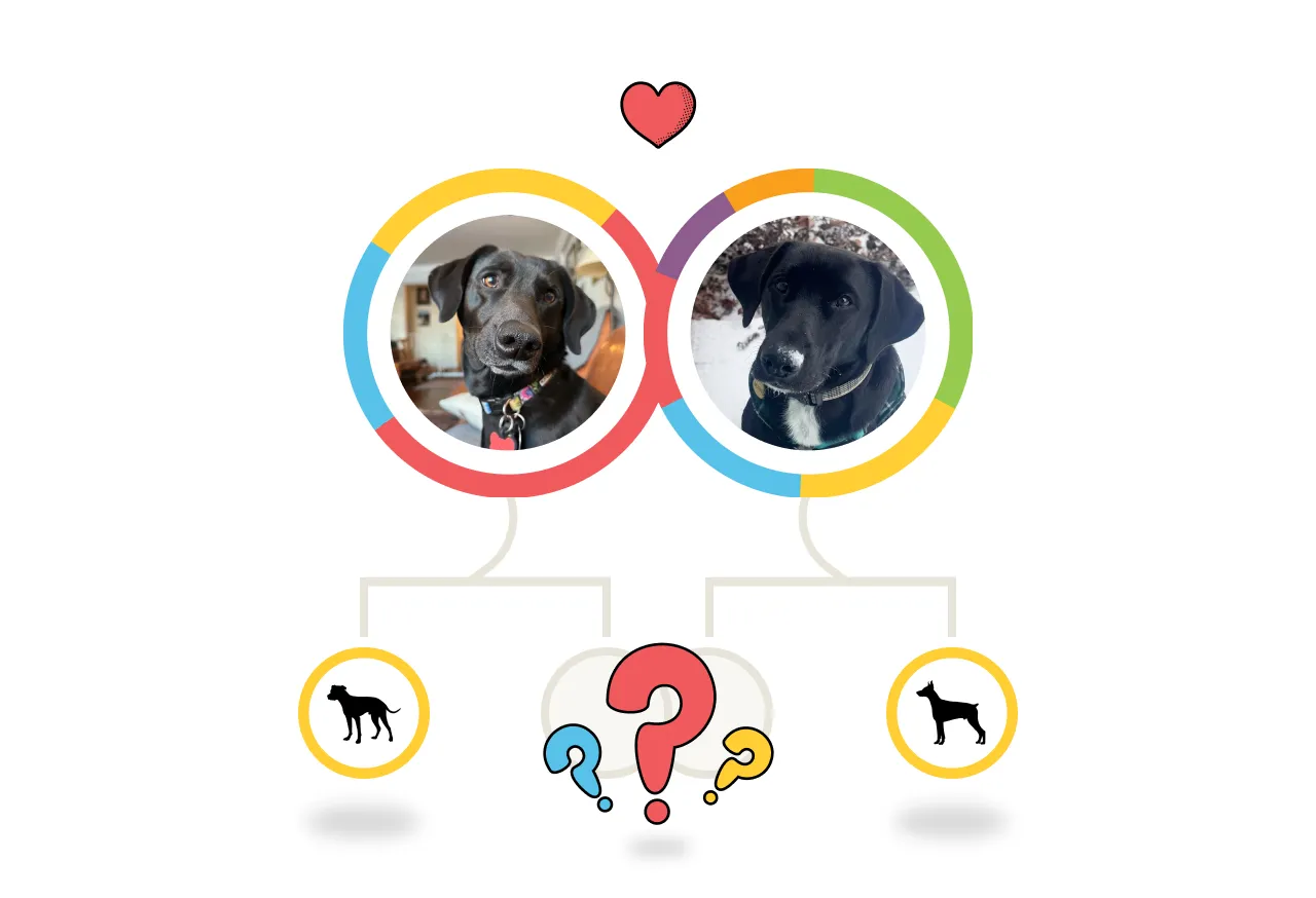 Read Maggie and Murphy's story