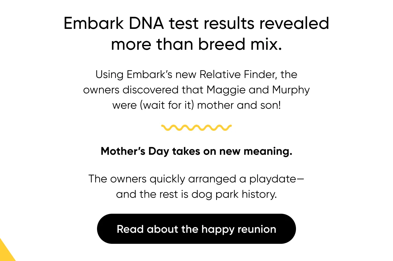 Mother's Day takes on new meaning. Read about the happy reunion.