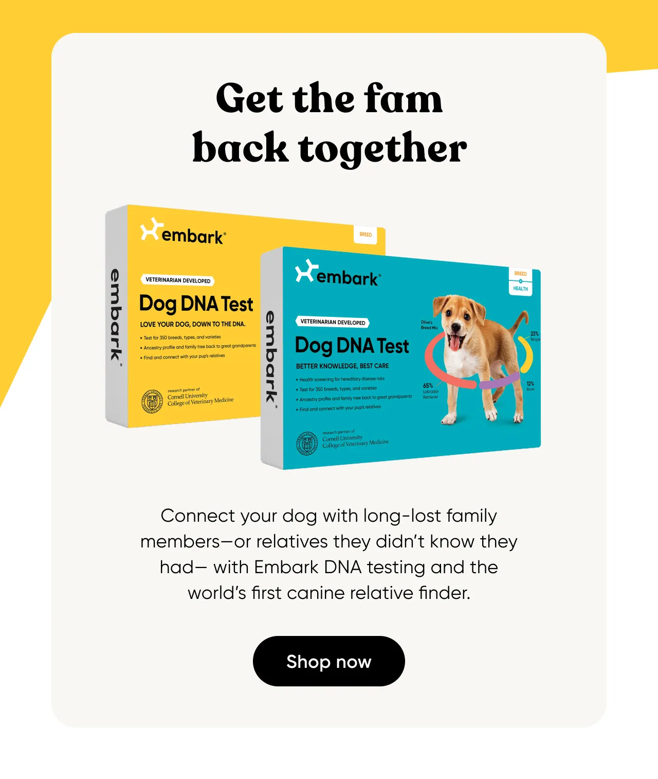 Connect your dog with long-lost family member with Embark DNA testing.