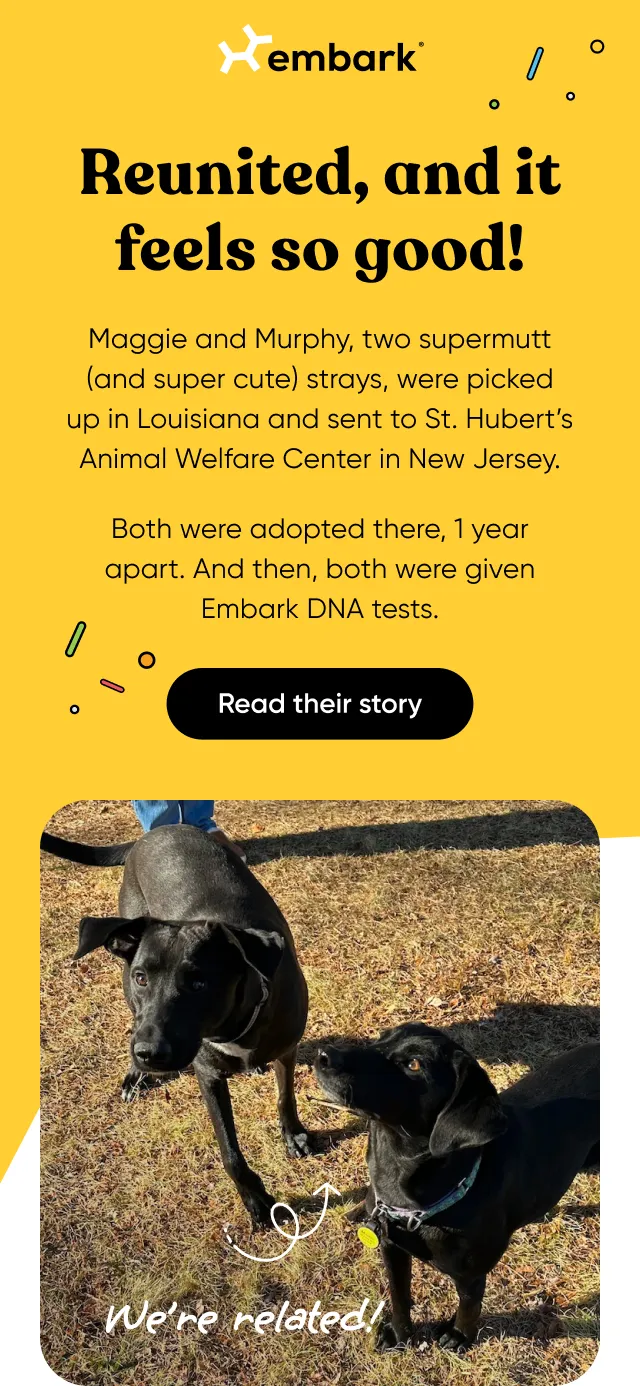 Read Maggie and Murphy's story