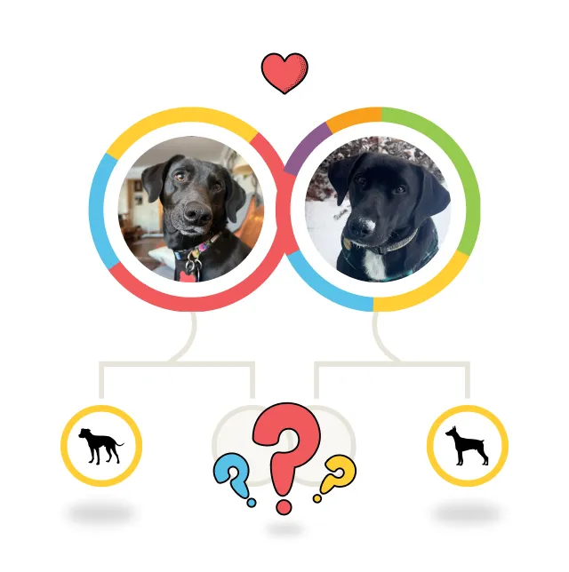 Read Maggie and Murphy's story