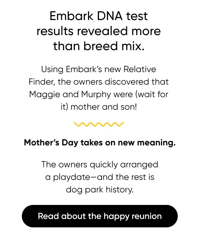 Mother's Day takes on new meaning. Read about the happy reunion.