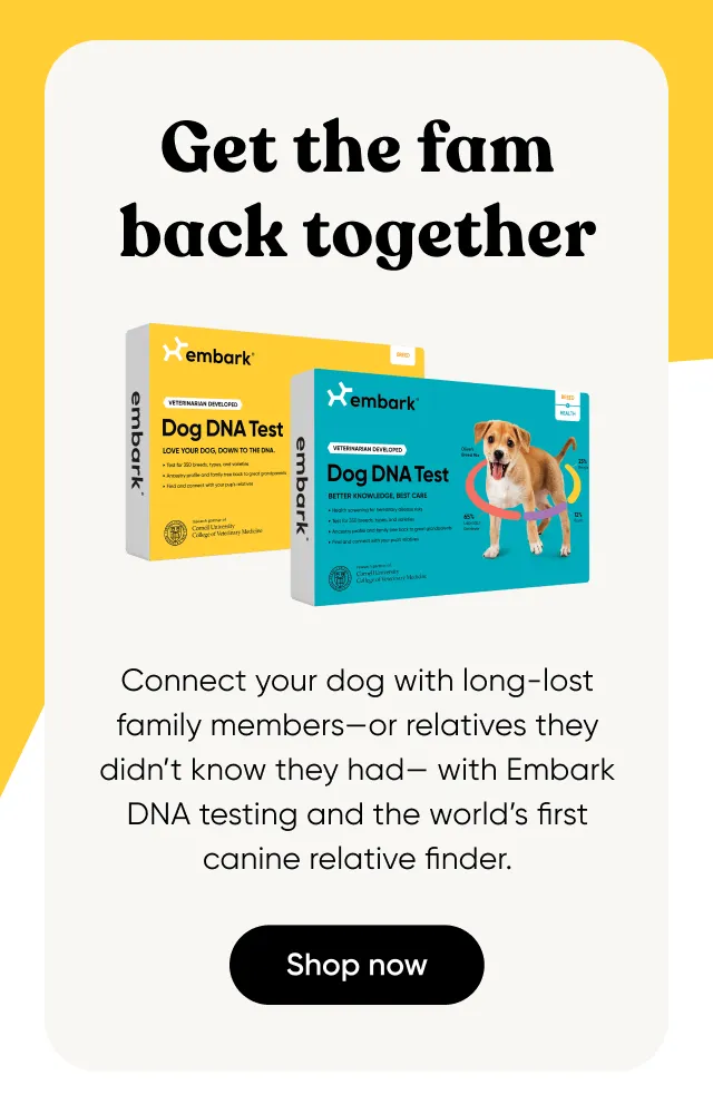 Connect your dog with long-lost family member with Embark DNA testing.