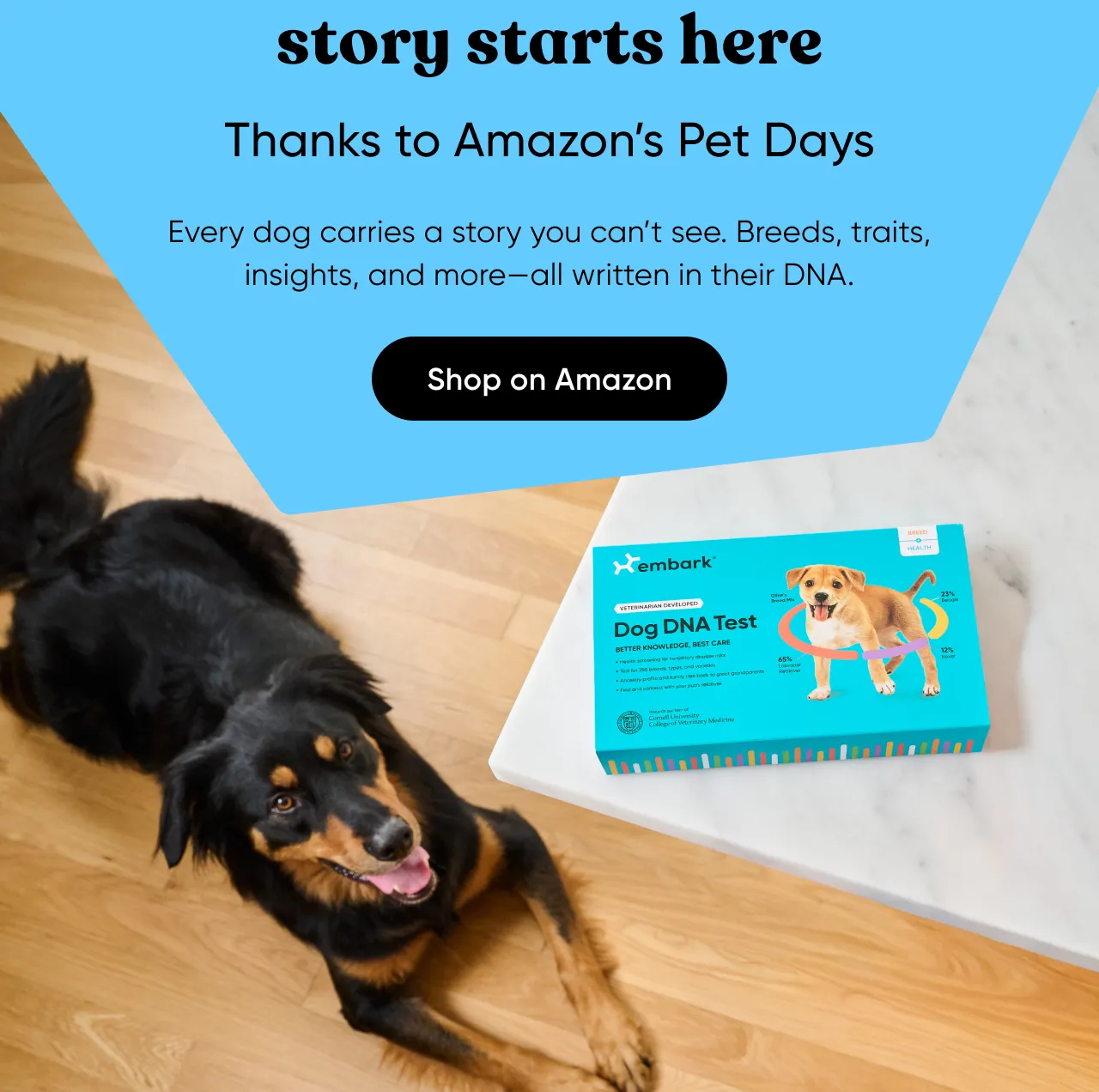 You dog's story starts here. Thanks to Amazon's Pet Days. Every dog carries a story you can't see. Breeds, traits, insights, and more—all written in their DNA. Shop in Amazon.