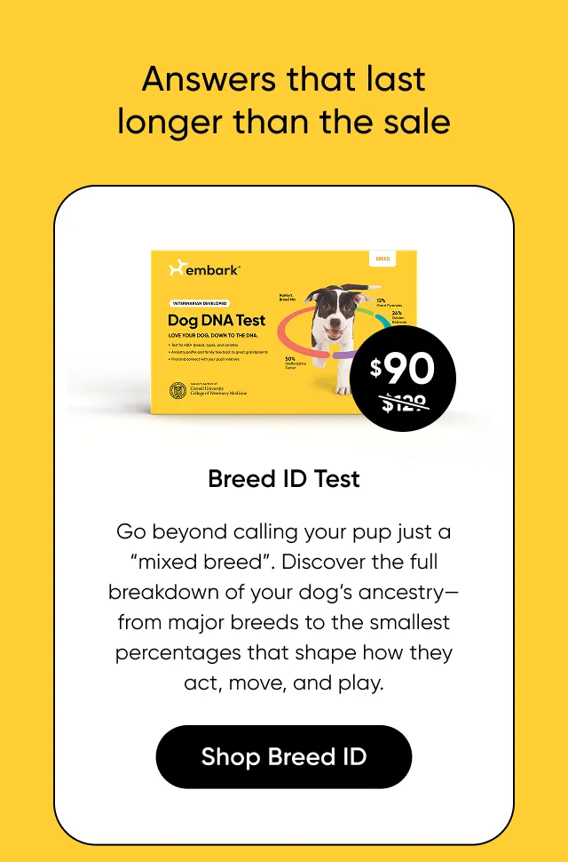 Go beyond calling your pup just a 