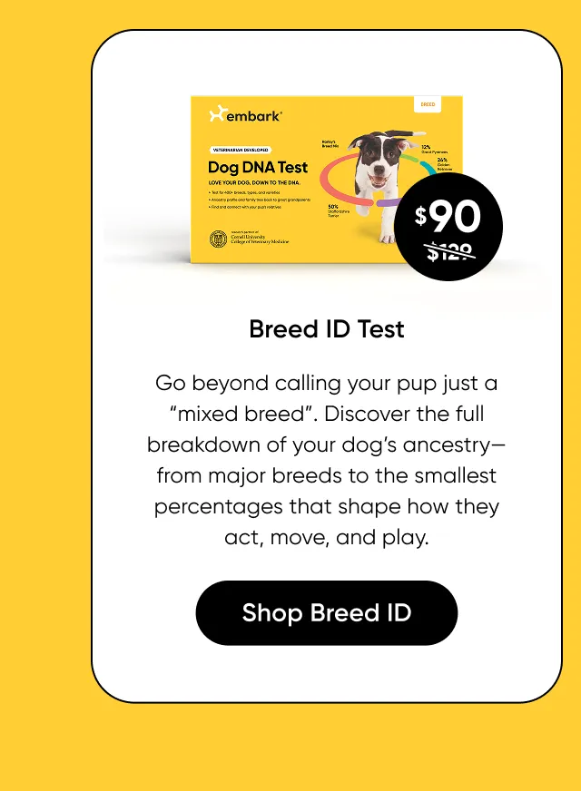 Go beyond calling your pup just a 