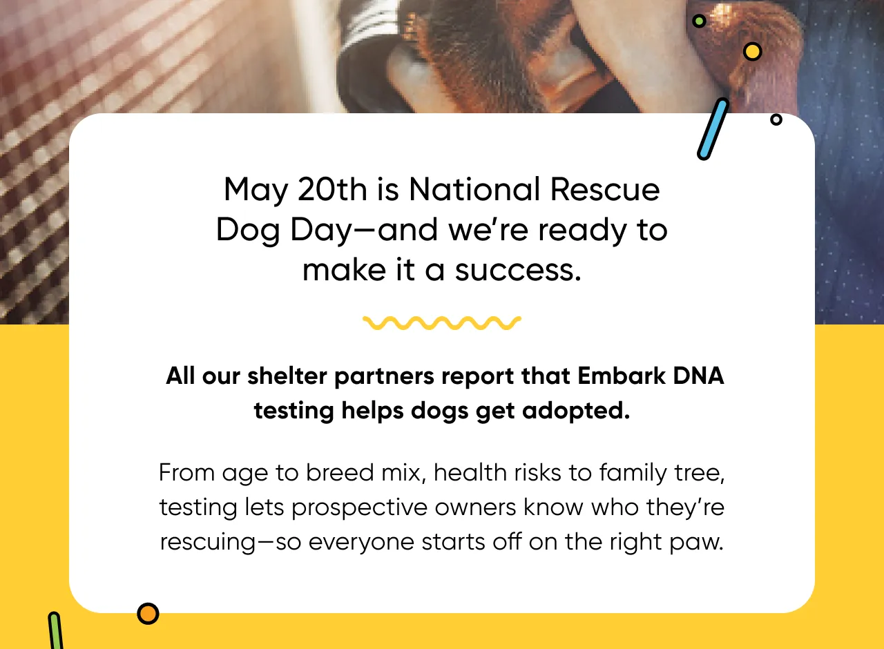May 20th is National Rescue Dog Day—and we're ready to make it a success.