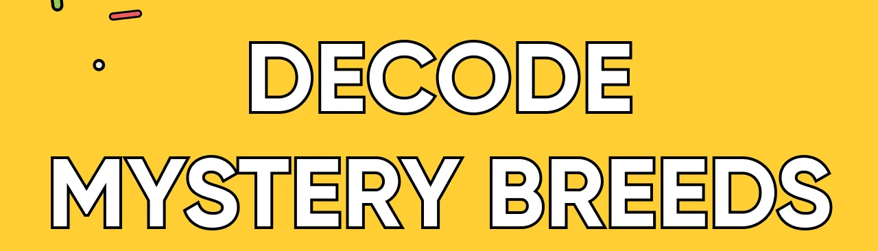 Decode mystery breeds