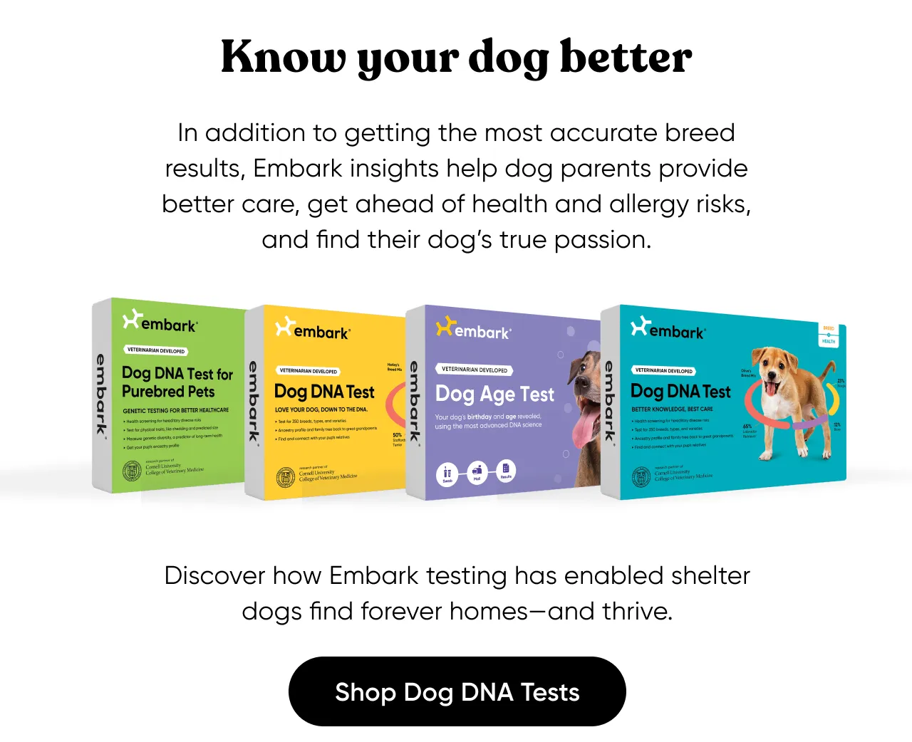 Know your dog better