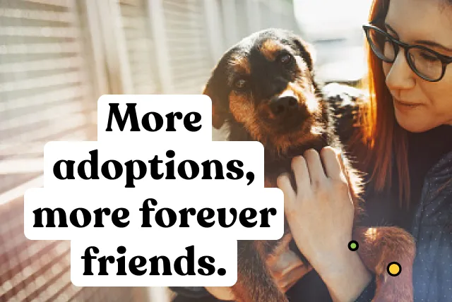 More adoptions, more forever friends.