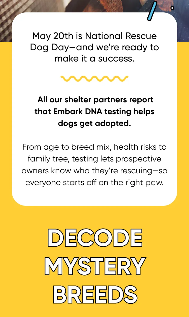 May 20th is National Rescue Dog Day—and we're ready to make it a success.