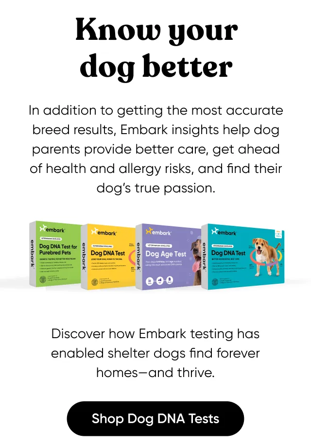Know your dog better