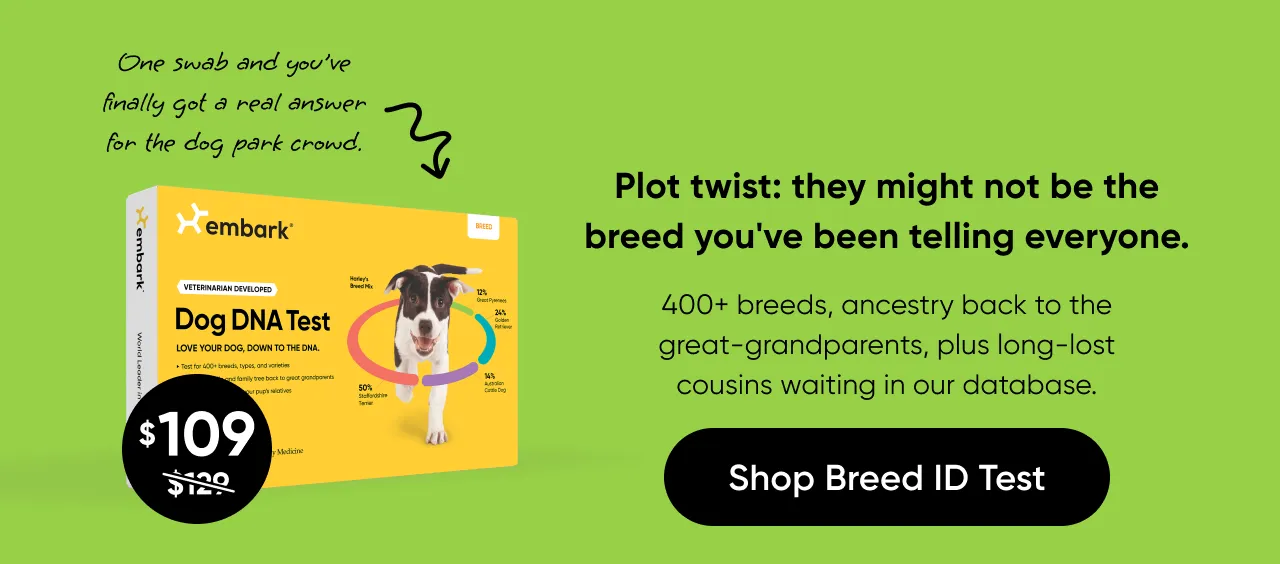 Breed ID Test
