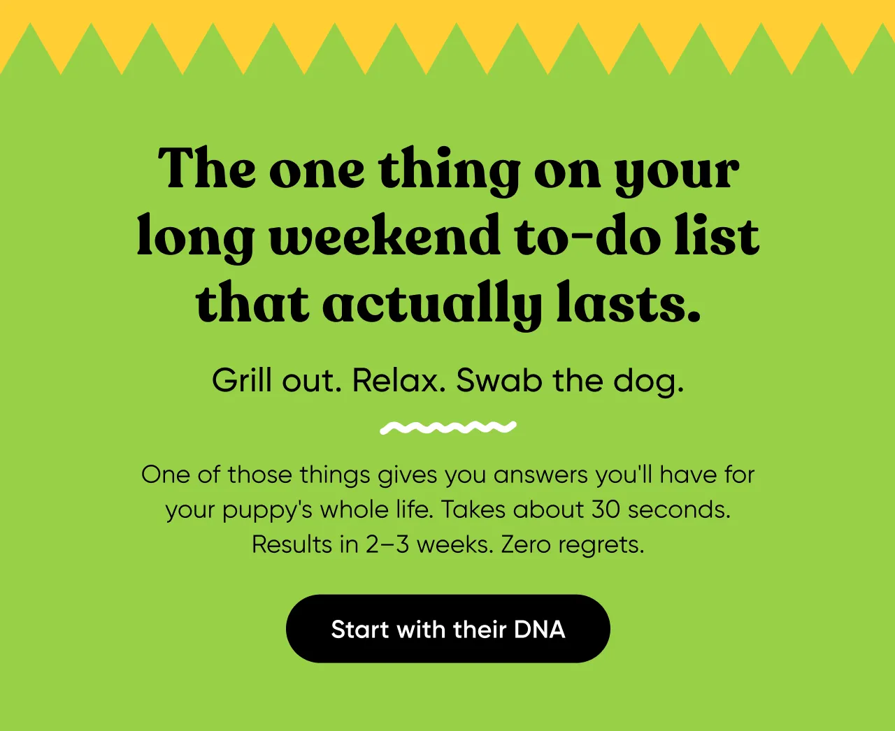 The one thing on your long weekend to-do list that actually lasts. Grill out. Relax. Swab the dog. One of those things gives your answers you'll have for your dog's whole life. Taks about 30 seconds. Rersults in 2-3 weeks. Zero regrets. Start with their DNA.