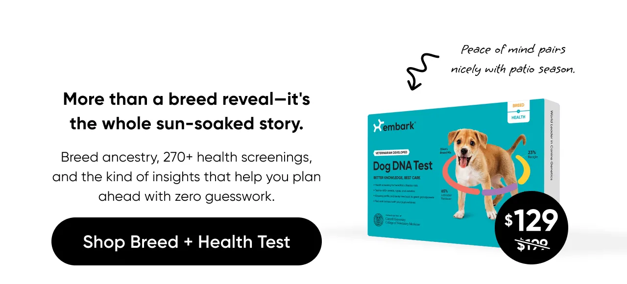 Peace of mind pairs nicely with patio season. More than an a breed reveal—it's the whole sun-soaked story. Breed ancestry, 270+ health screenings, and the kind of insights that help you plan ahead with zero guesswork. Shop Breed + Health Test.