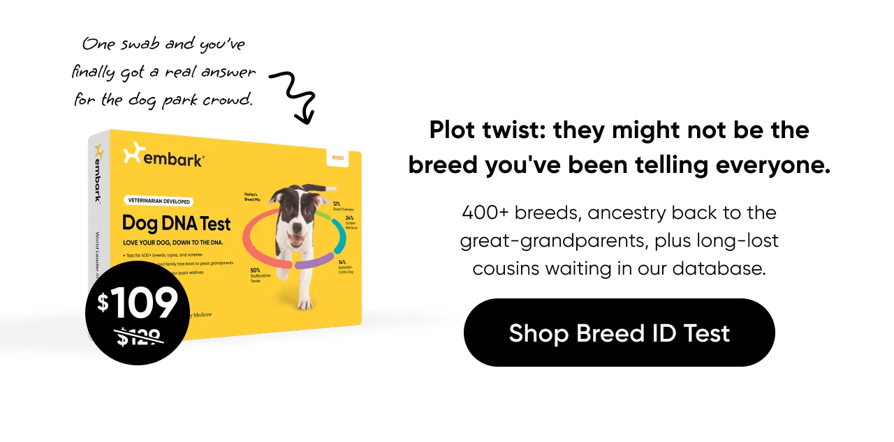 One swab and you've finally got a real answer for the dog park crowd. Plot twist: they might not be the breed you've been telling everyone. 400+ breeds, ancestry back to the great-grandparents, plus long-last cousins waiting in our database. Shop Breed ID Test..