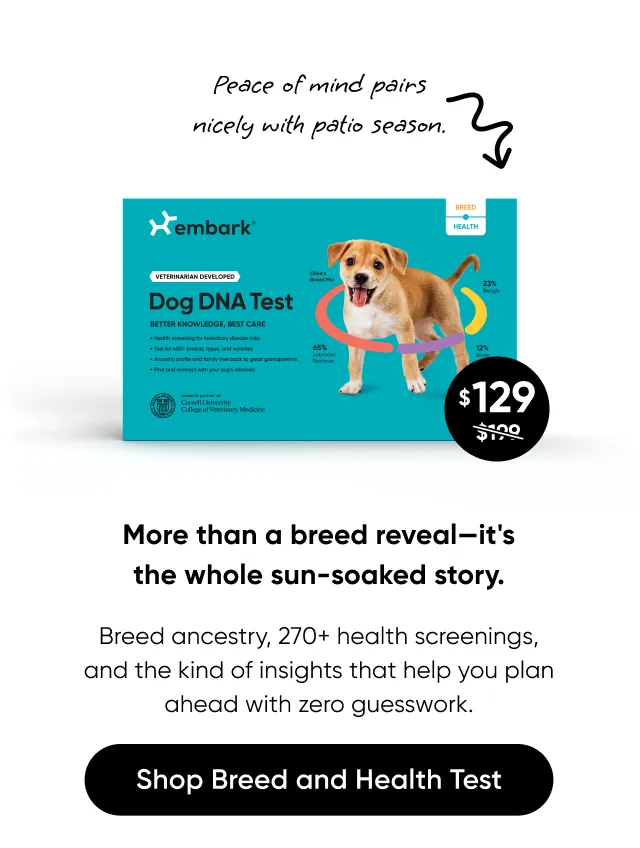 Peace of mind pairs nicely with patio season. More than an a breed reveal—it's the whole sun-soaked story. Breed ancestry, 270+ health screenings, and the kind of insights that help you plan ahead with zero guesswork. Shop Breed + Health Test.