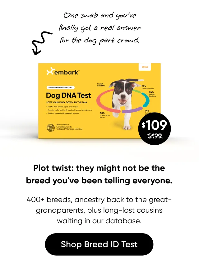 One swab and you've finally got a real answer for the dog park crowd. Plot twist: they might not be the breed you've been telling everyone. 400+ breeds, ancestry back to the great-grandparents, plus long-last cousins waiting in our database. Shop Breed ID Test..AZQSW