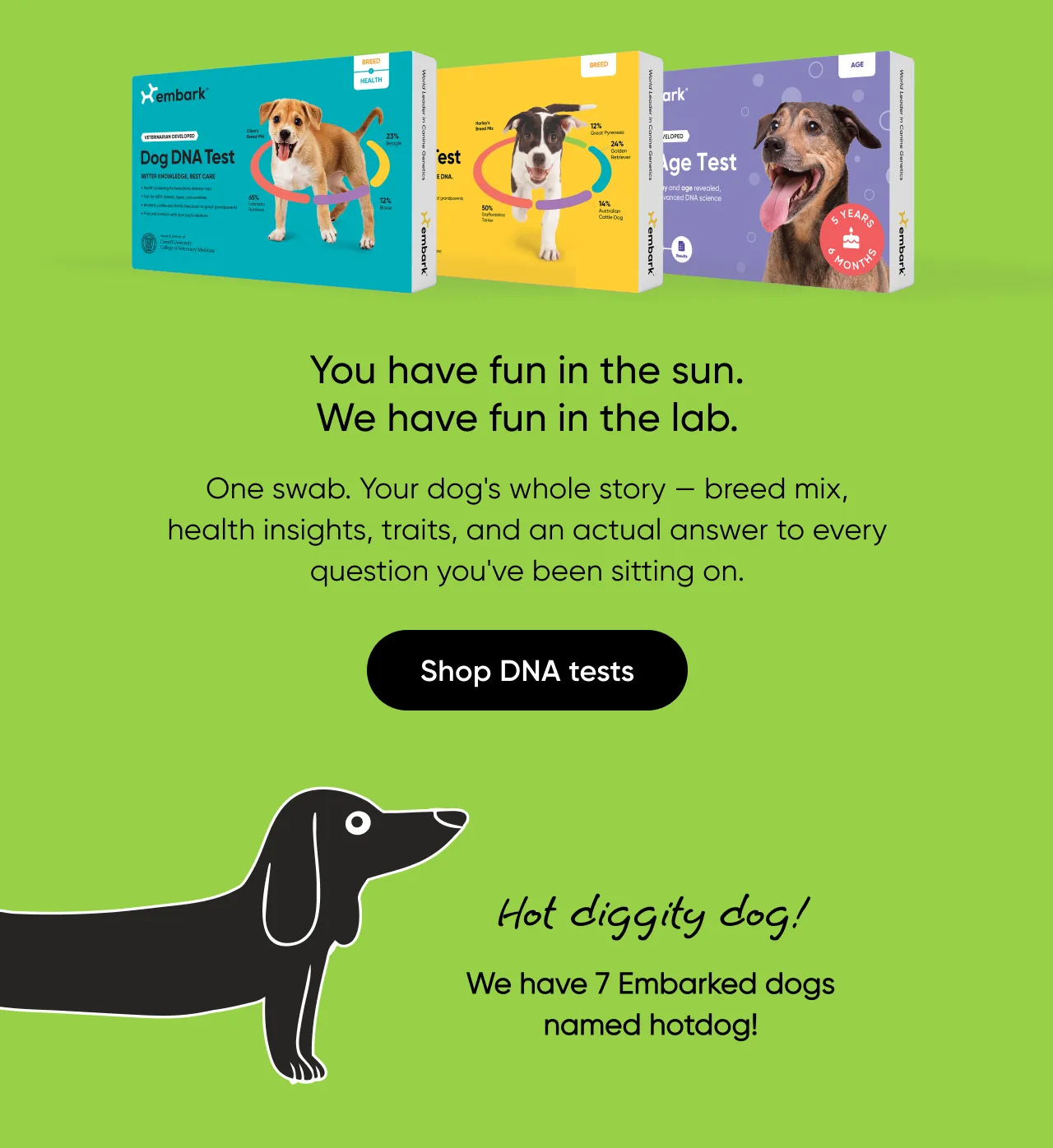 You have fun in the sun. We have fun in the lab. One swab. Your dog's whole story—breed mix, health insights, traits, and an actual answer to every question you've been sitting on.