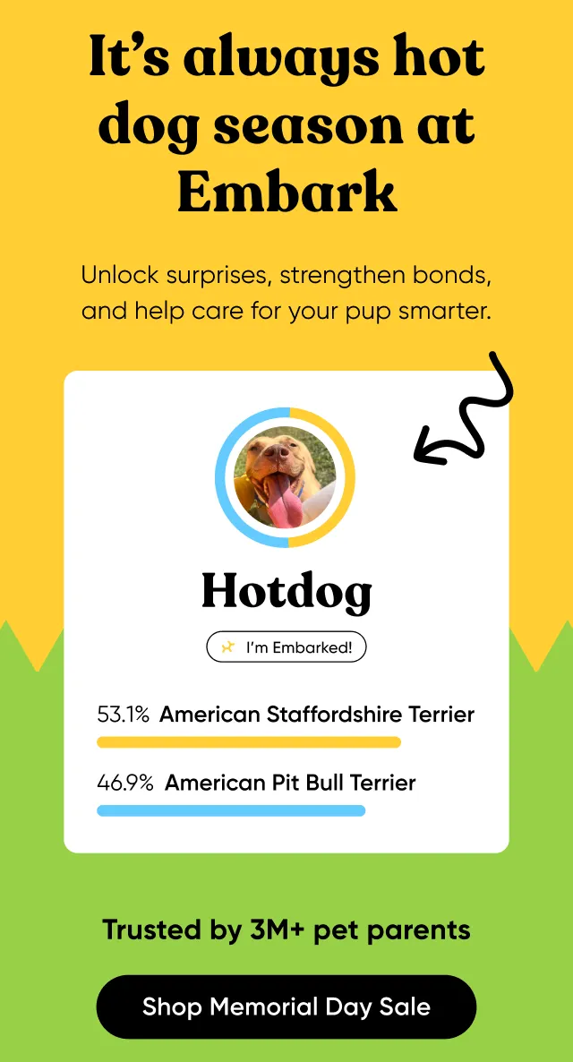 It's always hot dog season at Embark. Unlock surprises, strengthen bonds, and help care for your pup smarter. Shop sale.