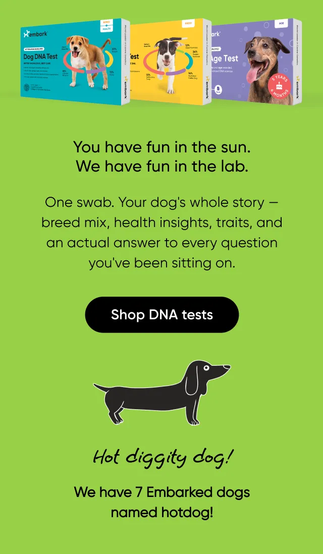 You have fun in the sun. We have fun in the lab. One swab. Your dog's whole story—breed mix, health insights, traits, and an actual answer to every question you've been sitting on.