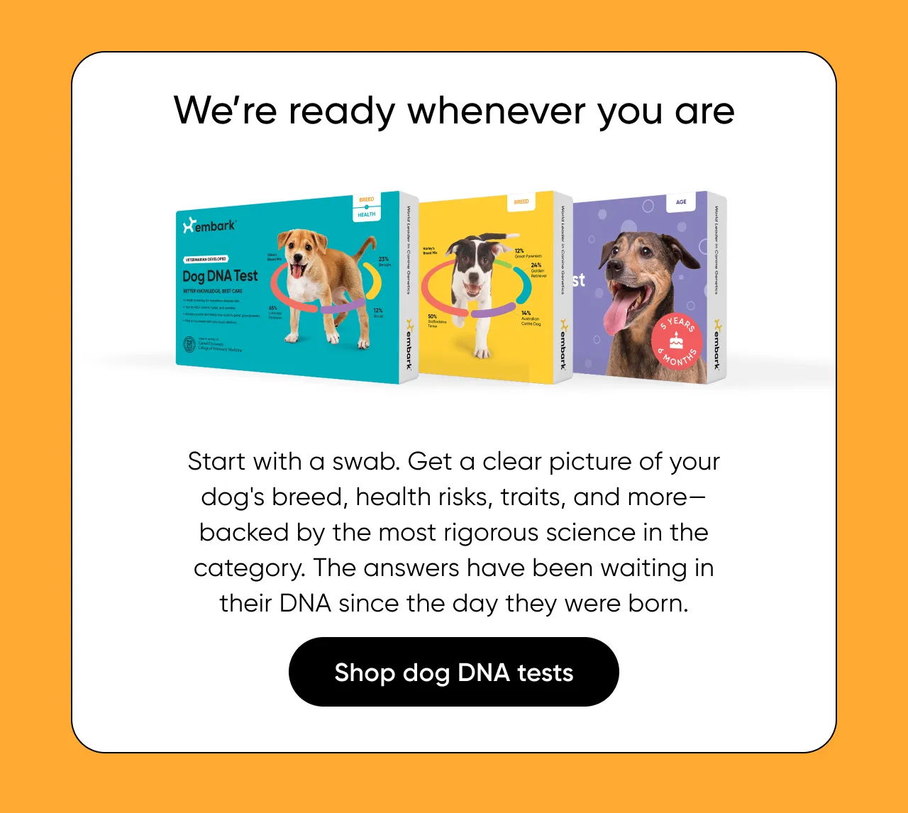 We're ready whnever you are. Start with a swab. Get a clear picture of your dog's breed, health risks, triaits, and more—backed by the most rigorous science in the category. The answers have been waiting in their DNA since the day they were born.