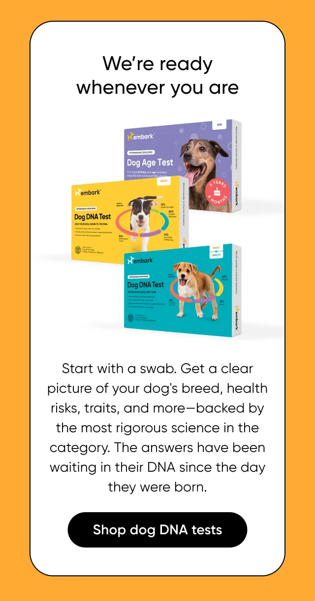 We're ready whnever you are. Start with a swab. Get a clear picture of your dog's breed, health risks, triaits, and more—backed by the most rigorous science in the category. The answers have been waiting in their DNA since the day they were born.