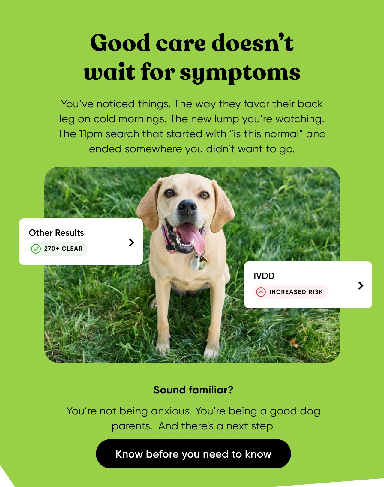 Good care doesn't wait for symptoms. You’ve noticed things. The way they favor their back leg on cold mornings. The new lump you’re watching. The 11pm search that started with “is this normal” and ended somewhere you didn’t want to go. Sound familiar? You’re not being anxious. You’re being a good dog parents. And there’s a next step. Know before you need to know.