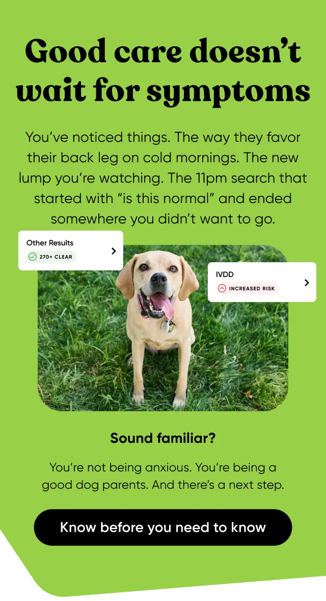 Good care doesn't wait for symptoms. You’ve noticed things. The way they favor their back leg on cold mornings. The new lump you’re watching. The 11pm search that started with “is this normal” and ended somewhere you didn’t want to go. Sound familiar? You’re not being anxious. You’re being a good dog parents. And there’s a next step. Know before you need to know.