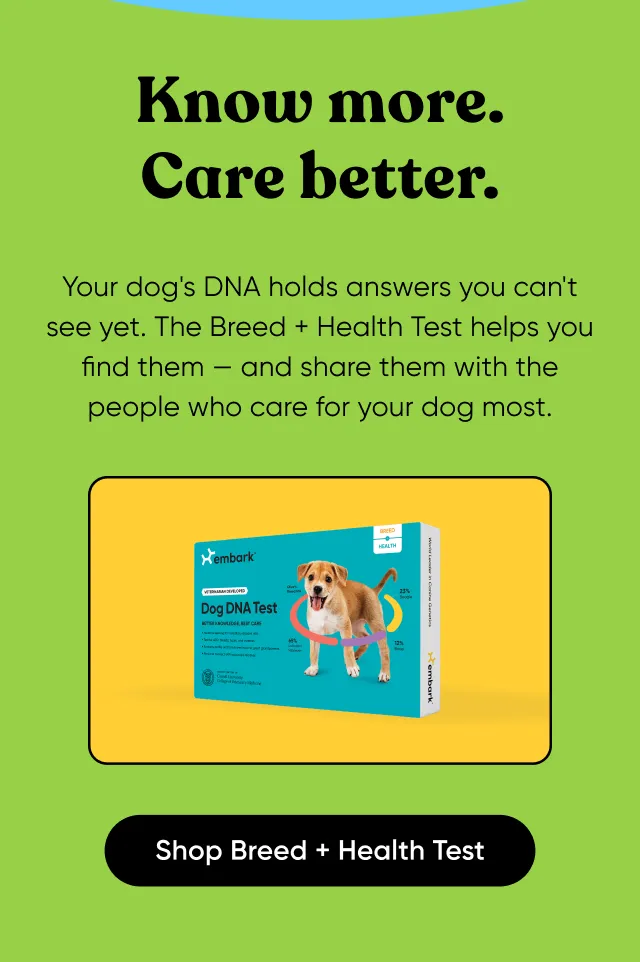 Your dog's DNA holds answers you can't see yet. The Breed + Health Test helps you find them — and share them with the people who care for your dog most. Shop Breed + Health Test.